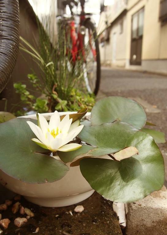 Love Kyoto 京缘馆 客房 照片