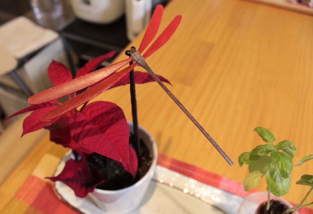 Love Kyoto 京缘馆 客房 照片